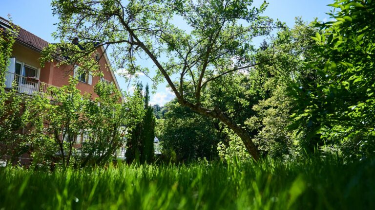 Gartenansicht vom Hotel Morgensonne in Badenweiler
