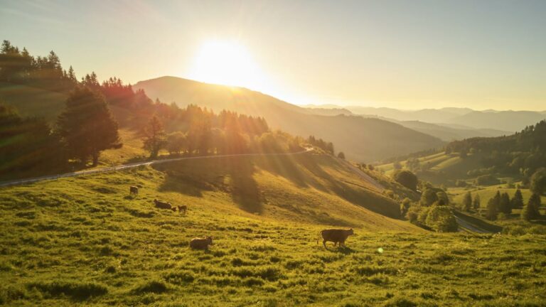 Landschaft Markgraeflerland Badenweiler