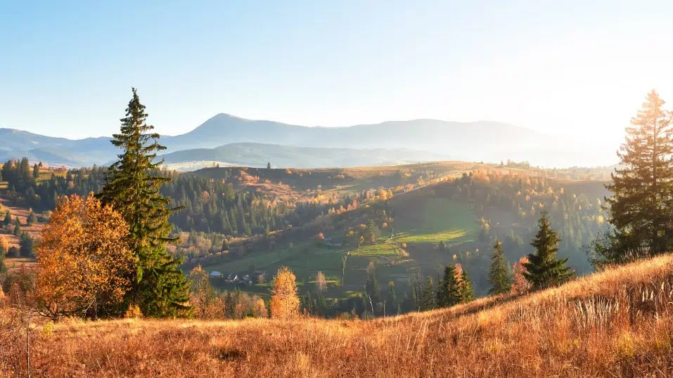 Blick auf Landschaft im Herbst im Schwarzwald Badenweiler